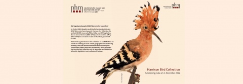 Fundraising-Gala Harrison Bird Collection