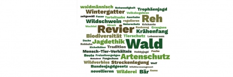 Jagd in der Diskussion