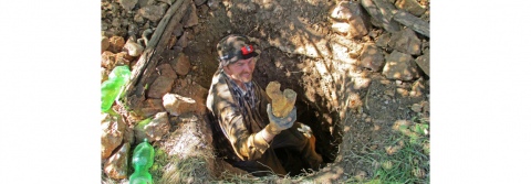 Spektakulärer Holzopalfund im Burgenland