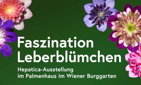 Hepatica-Ausstellung Wien 2025
