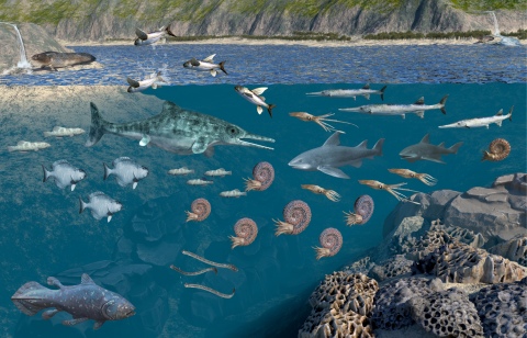 Massensterben, Sumpfwälder und fliegende Fische vor 233 Millionen Jahren