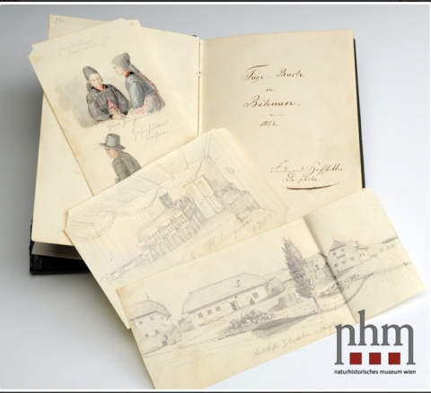 Transkription der Tagebücher von Ferdinand v. Hochstetter (2020)