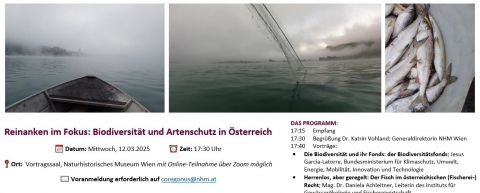 Reinanken im Fokus: Biodiversität und Artenschutz in Österreich
