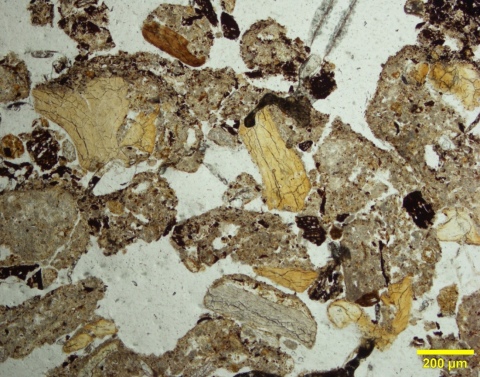 Naturwissenschaftliche Archäologie und die Erforschung früher Feuernutzung
